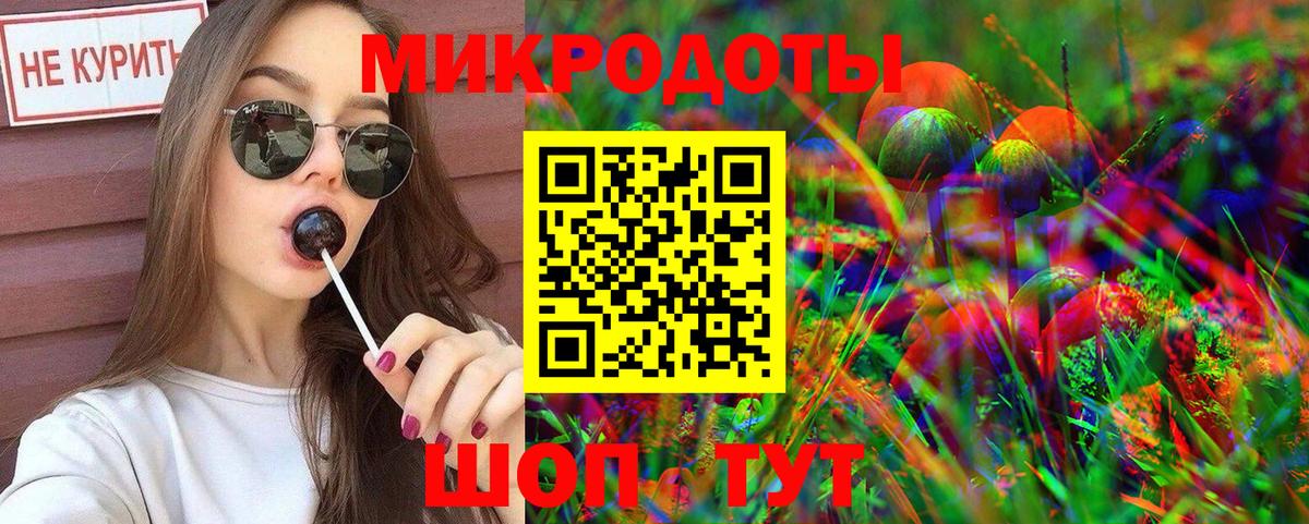 Псилоцибиновые грибы Psilocybine cubensis Клин