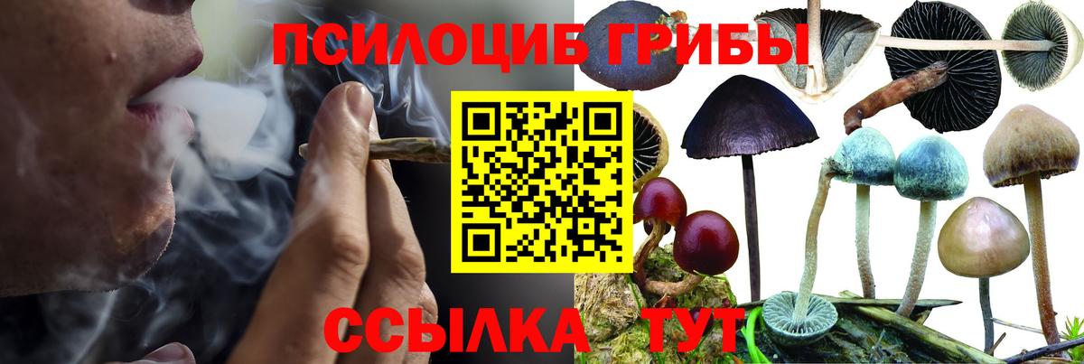 Псилоцибиновые грибы GOLDEN TEACHER  Вход с VPN  Галлюциногенные грибы мицелий  Клин 
